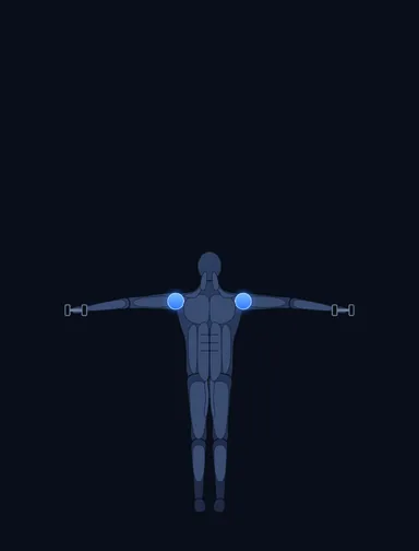 Side Lateral Raise, finish position, with the working muscles highlighted