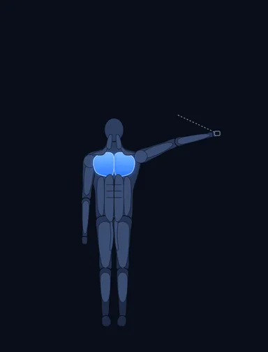 Single-Arm Cable Crossover, start position, with the working muscles highlighted