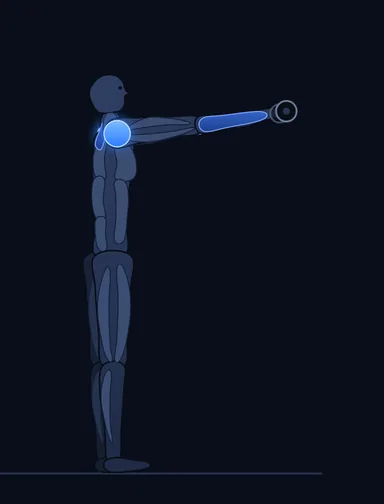 Single Dumbbell Raise, finish position, with the working muscles highlighted