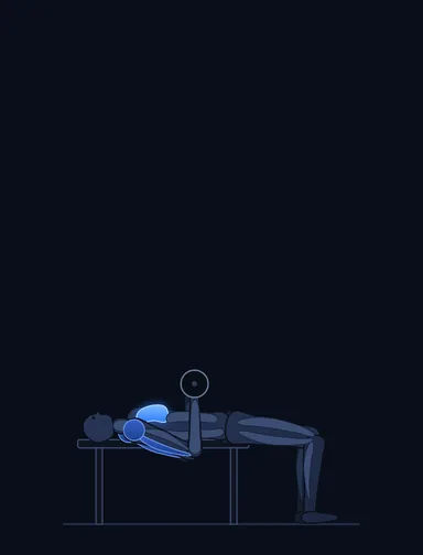 Smith Machine Bench Press, start position, with the working muscles highlighted