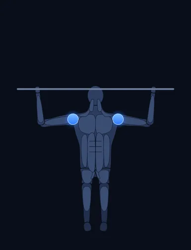 Smith Machine Overhead Shoulder Press, start position, with the working muscles highlighted