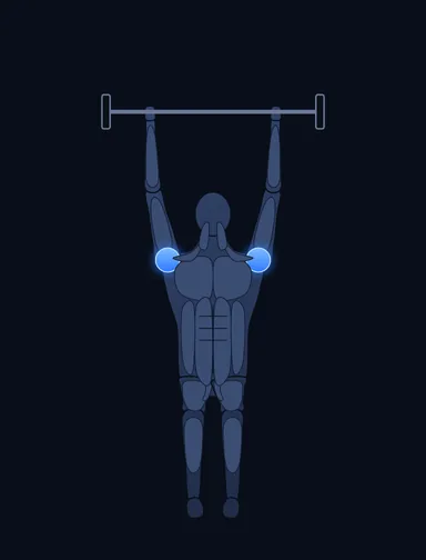 Smith Machine Overhead Shoulder Press, finish position, with the working muscles highlighted