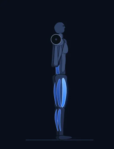 Smith Machine Squat, start position, with the working muscles highlighted