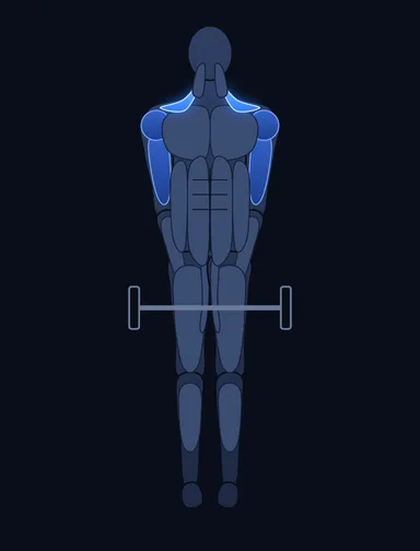 Smith Machine Upright Row, start position, with the working muscles highlighted
