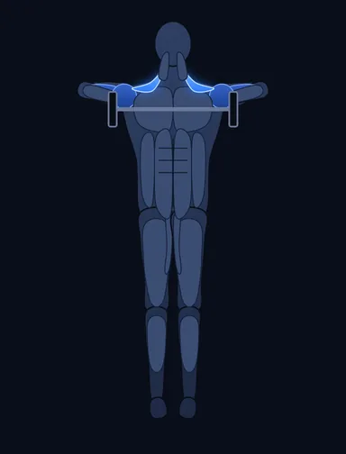 Smith Machine Upright Row, finish position, with the working muscles highlighted