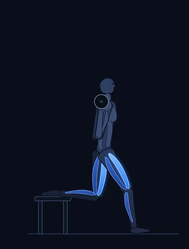 Smith Single-Leg Split Squat, start position, with the working muscles highlighted