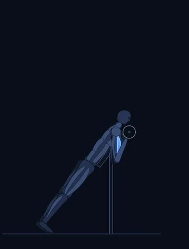 Spider Curl, finish position, with the working muscles highlighted