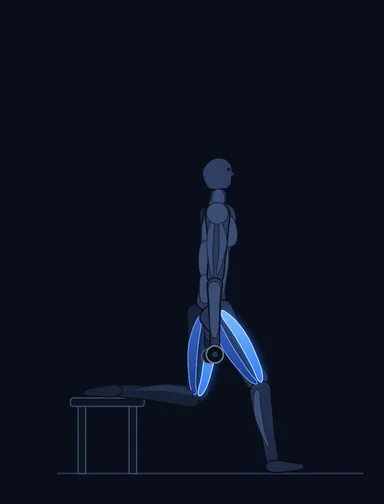 Split Squat with Dumbbells, start position, with the working muscles highlighted