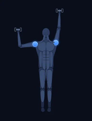 Standing Alternating Dumbbell Press, finish position, with the working muscles highlighted