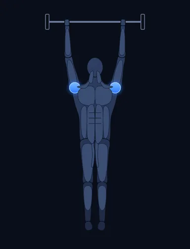 Standing Barbell Press Behind Neck, finish position, with the working muscles highlighted