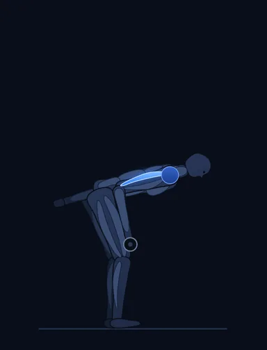 Standing Bent-Over One-Arm Dumbbell Triceps Extension, start position, with the working muscles highlighted