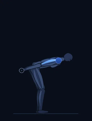 Standing Bent-Over One-Arm Dumbbell Triceps Extension, finish position, with the working muscles highlighted