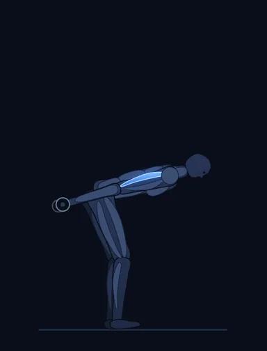 Standing Bent-Over Two-Arm Dumbbell Triceps Extension, finish position, with the working muscles highlighted