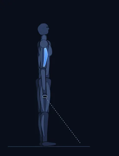 Standing Biceps Cable Curl, start position, with the working muscles highlighted