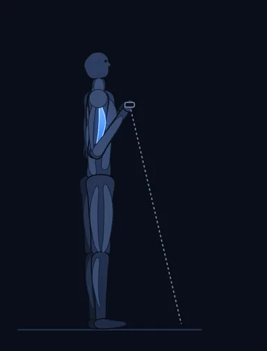 Standing Biceps Cable Curl, finish position, with the working muscles highlighted