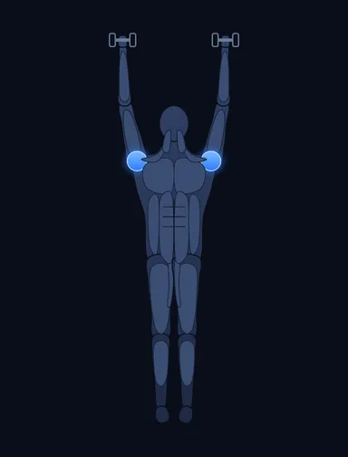 Standing Dumbbell Press, finish position, with the working muscles highlighted