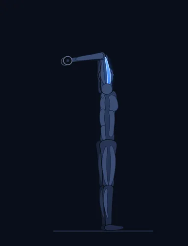 Standing Dumbbell Triceps Extension, start position, with the working muscles highlighted