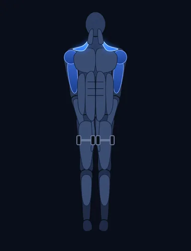 Standing Dumbbell Upright Row, start position, with the working muscles highlighted