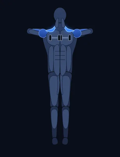 Standing Dumbbell Upright Row, finish position, with the working muscles highlighted