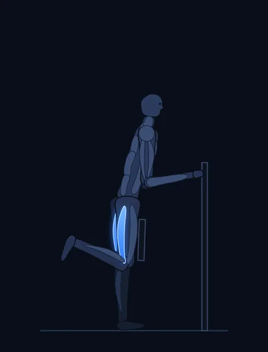 Standing Leg Curl, finish position, with the working muscles highlighted