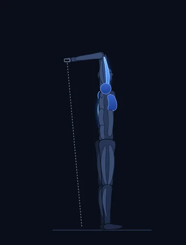 Standing Low-Pulley One-Arm Triceps Extension, start position, with the working muscles highlighted