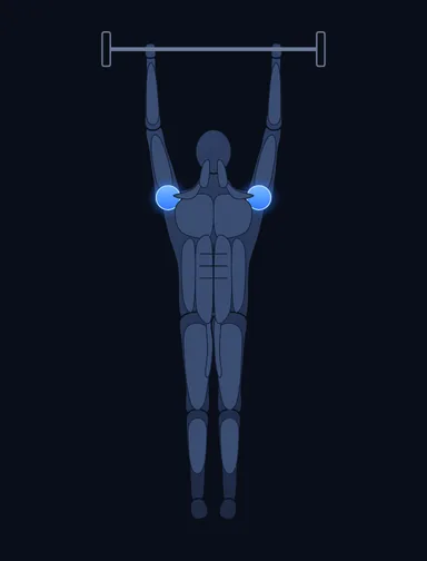 Standing Military Press, finish position, with the working muscles highlighted