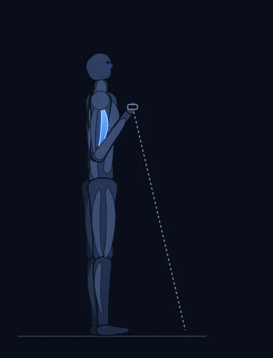 Standing One-Arm Cable Curl, finish position, with the working muscles highlighted