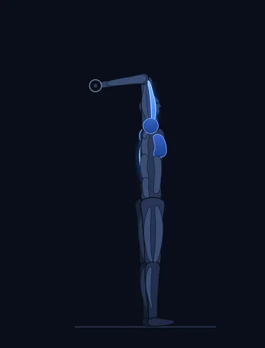 Standing One-Arm Dumbbell Triceps Extension, start position, with the working muscles highlighted