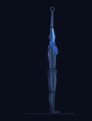 Standing One-Arm Dumbbell Triceps Extension, finish position, with the working muscles highlighted