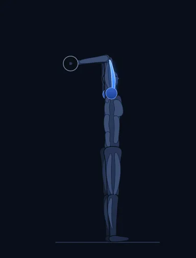 Standing Overhead Barbell Triceps Extension, start position, with the working muscles highlighted
