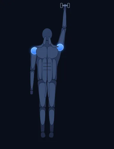 Standing Palm-In One-Arm Dumbbell Press, finish position, with the working muscles highlighted