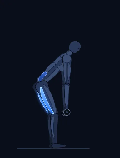 Stiff-Legged Dumbbell Deadlift, finish position, with the working muscles highlighted