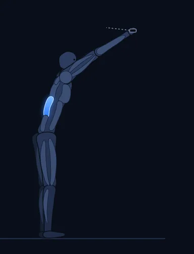Straight-Arm Pulldown, start position, with the working muscles highlighted