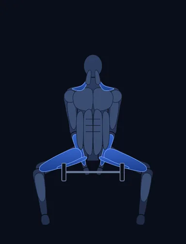 Sumo Deadlift with Chains, finish position, with the working muscles highlighted