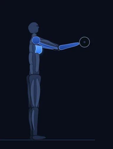 Svend Press, finish position, with the working muscles highlighted