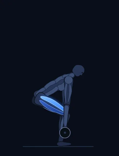 Trap Bar Deadlift, start position, with the working muscles highlighted