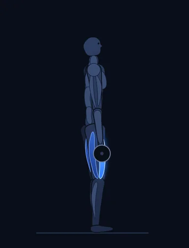 Trap Bar Deadlift, finish position, with the working muscles highlighted