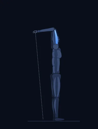 Triceps Overhead Extension with Rope, start position, with the working muscles highlighted