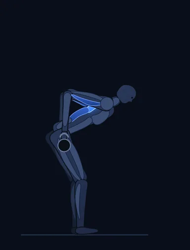 Two-Arm Kettlebell Row, finish position, with the working muscles highlighted