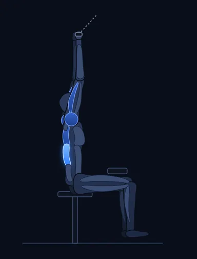 Underhand Cable Pulldowns, start position, with the working muscles highlighted