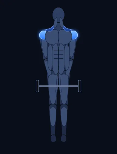 Upright Barbell Row, start position, with the working muscles highlighted