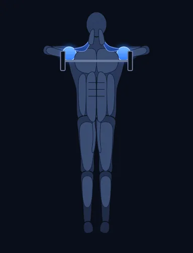 Upright Barbell Row, finish position, with the working muscles highlighted