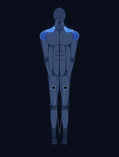 Upright Cable Row, start position, with the working muscles highlighted