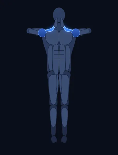 Upright Row - With Bands, finish position, with the working muscles highlighted