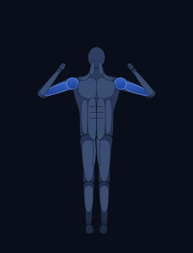 V-Bar Pullup, finish position, with the working muscles highlighted
