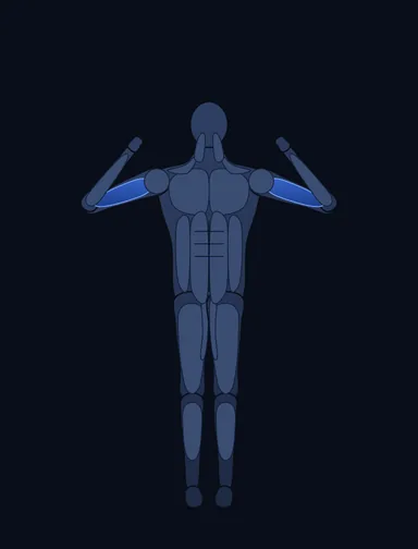 Weighted Pull Ups, finish position, with the working muscles highlighted