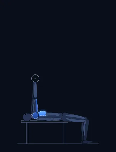 Wide-Grip Barbell Bench Press, finish position, with the working muscles highlighted