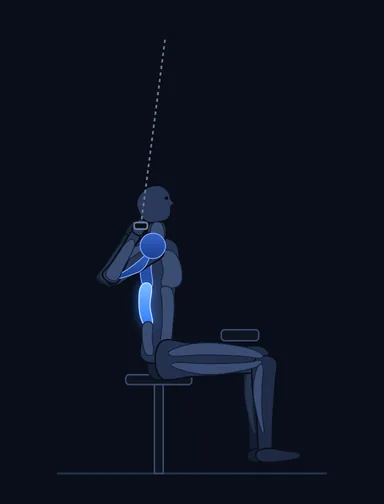 Wide-Grip Pulldown Behind the Neck, finish position, with the working muscles highlighted
