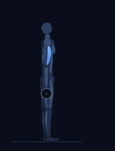 Wide-Grip Standing Barbell Curl, start position, with the working muscles highlighted