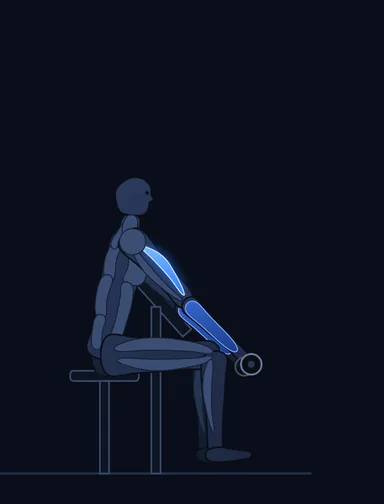 Zottman Preacher Curl, start position, with the working muscles highlighted